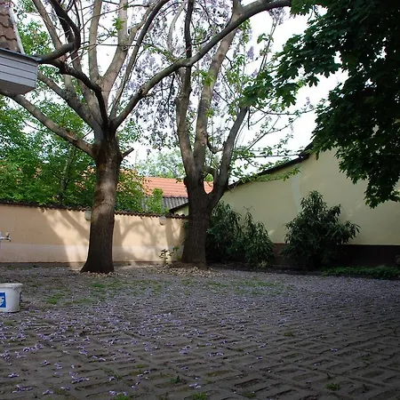 Bessenyei Vendeghaz Gasthuis Hajdúszoboszló